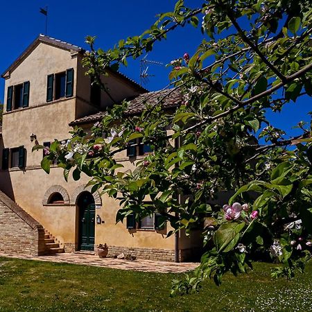 I Ciliegi Bed and Breakfast Osimo Eksteriør billede
