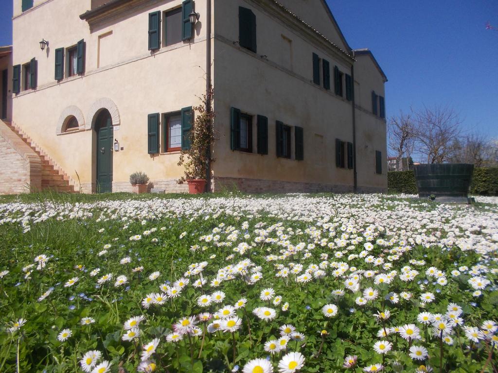 I Ciliegi Bed and Breakfast Osimo Eksteriør billede