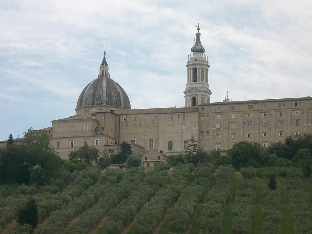 I Ciliegi Bed and Breakfast Osimo Eksteriør billede