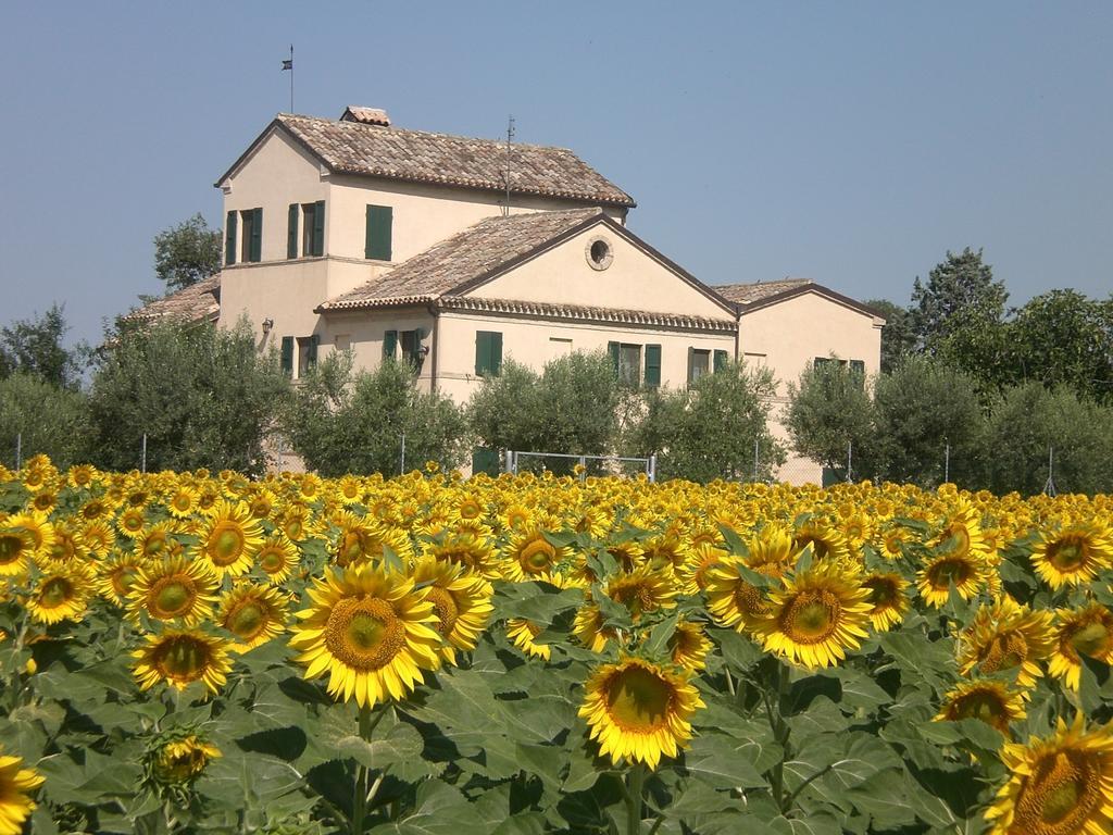 I Ciliegi Bed and Breakfast Osimo Eksteriør billede