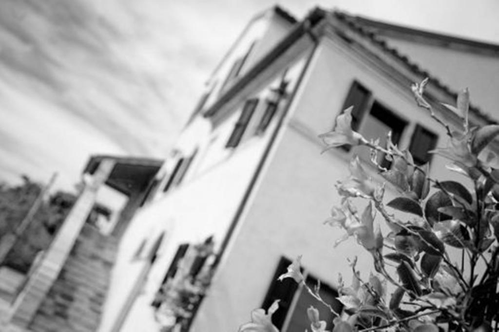 I Ciliegi Bed and Breakfast Osimo Eksteriør billede
