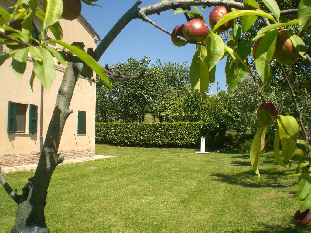 I Ciliegi Bed and Breakfast Osimo Eksteriør billede