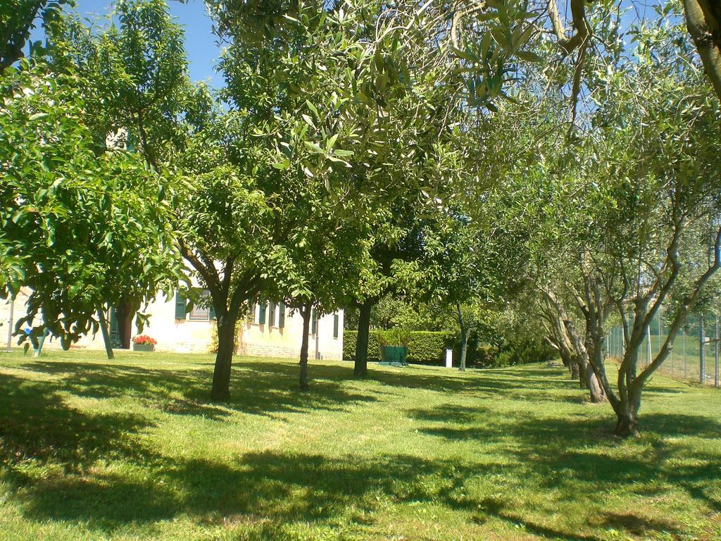 I Ciliegi Bed and Breakfast Osimo Eksteriør billede