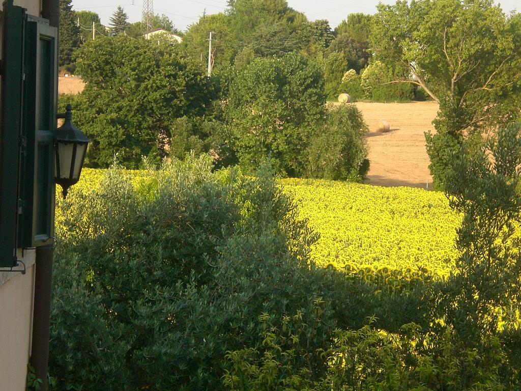 I Ciliegi Bed and Breakfast Osimo Eksteriør billede