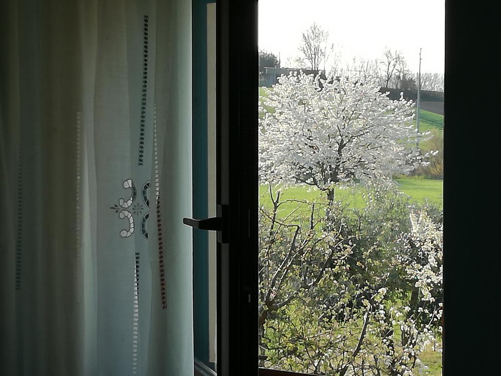 I Ciliegi Bed and Breakfast Osimo Eksteriør billede