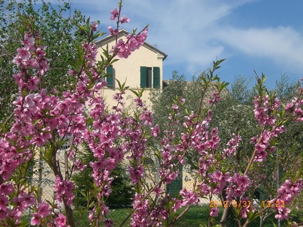 I Ciliegi Bed and Breakfast Osimo Eksteriør billede