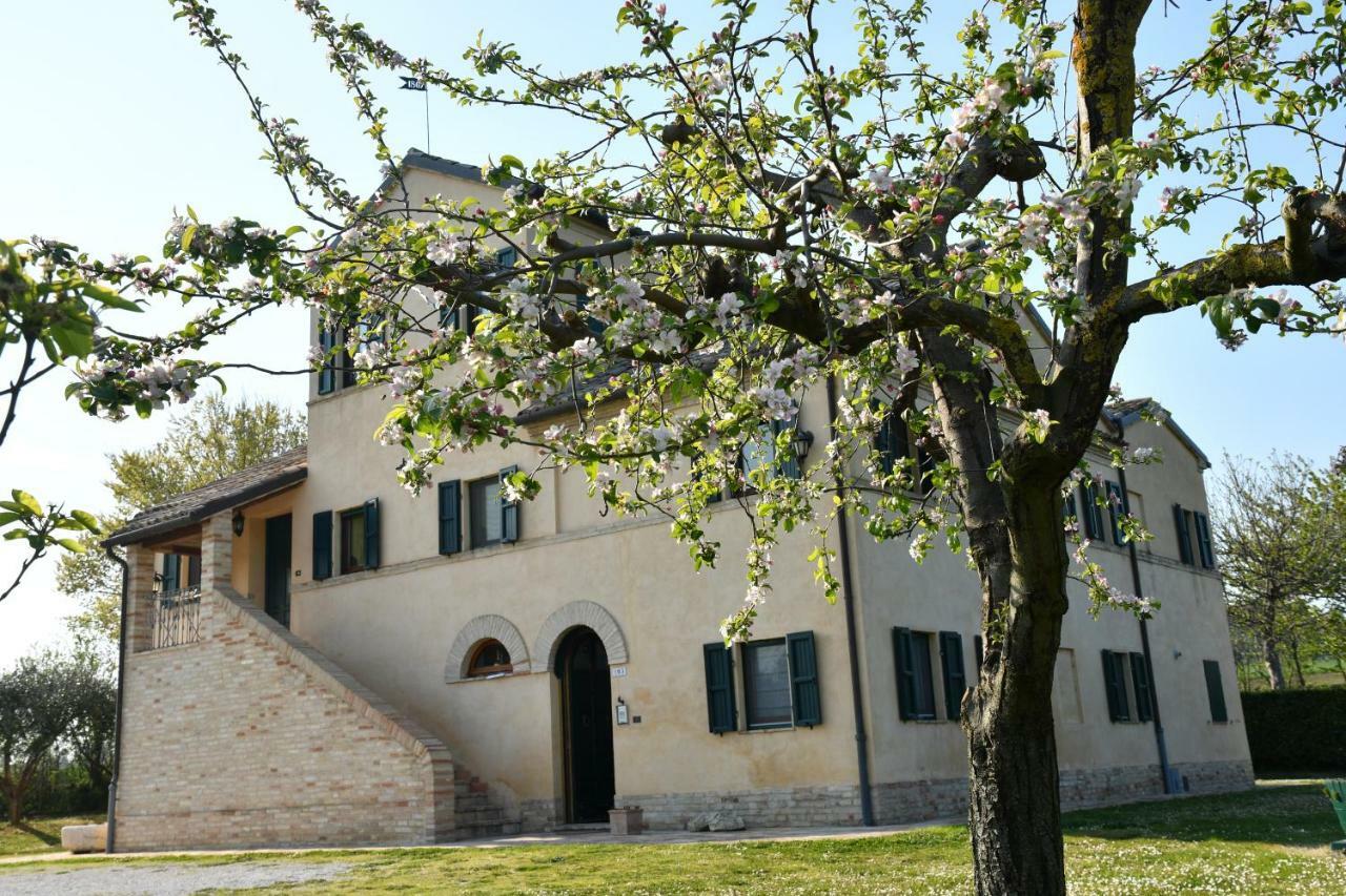 I Ciliegi Bed and Breakfast Osimo Eksteriør billede