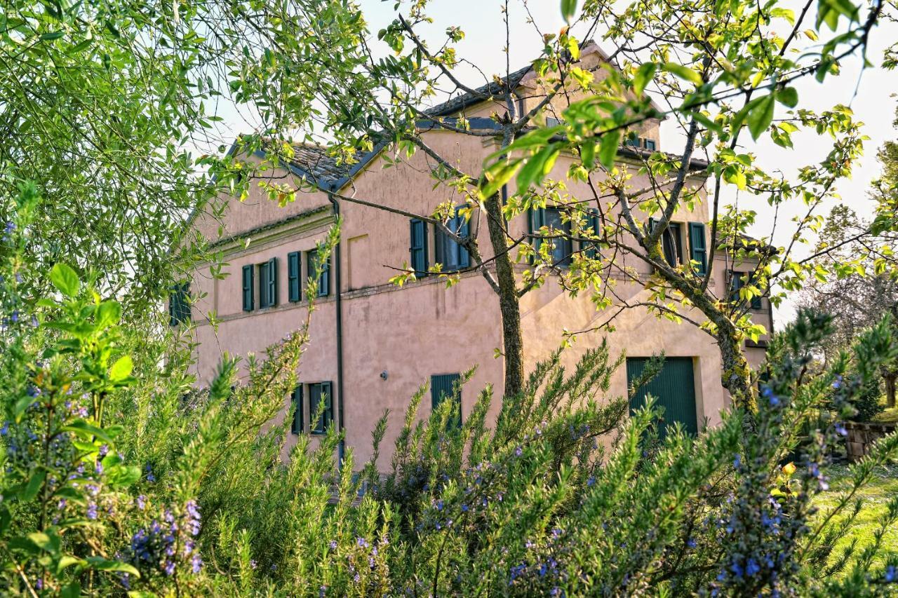 I Ciliegi Bed and Breakfast Osimo Eksteriør billede
