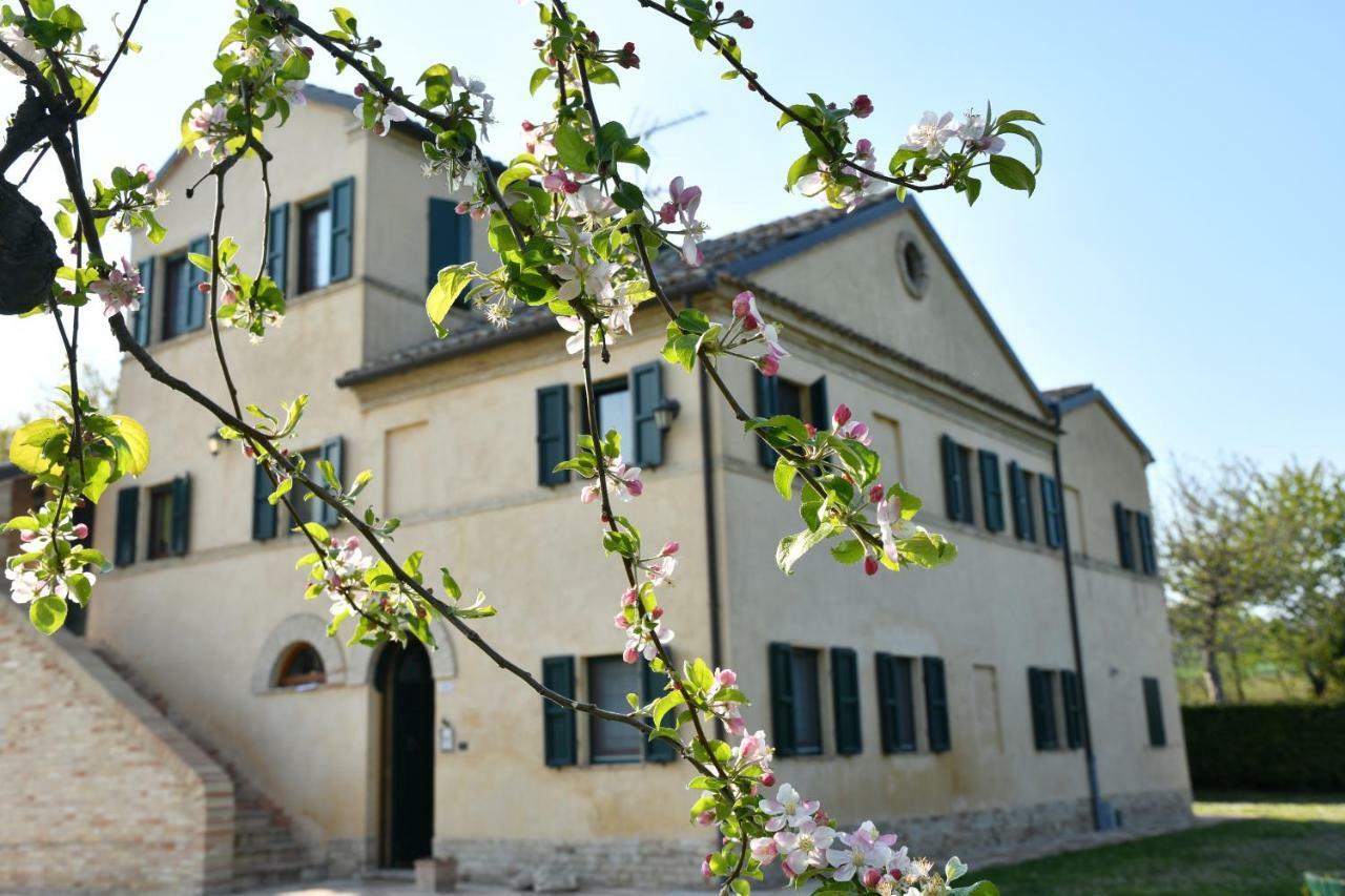 I Ciliegi Bed and Breakfast Osimo Eksteriør billede